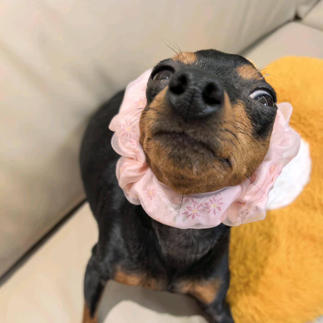 小小💍