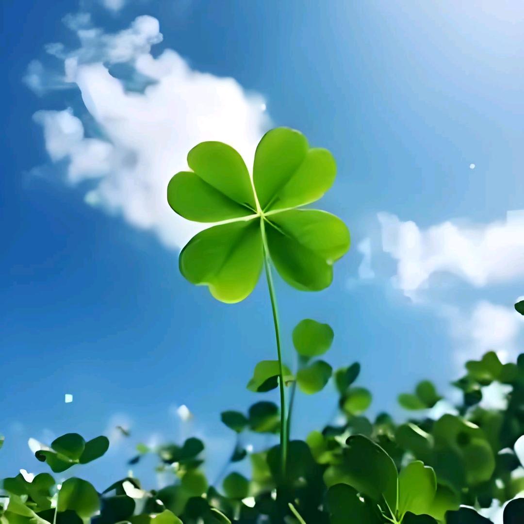 ❤️不忘初心❤️