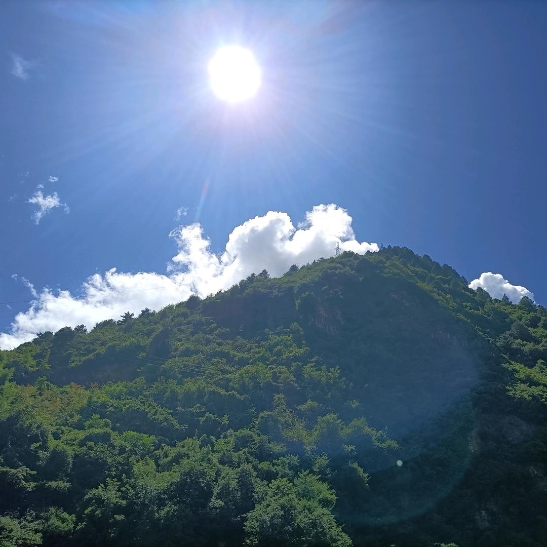 锦悦