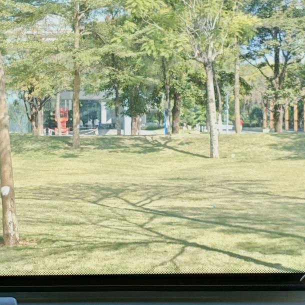 宇宙无敌大富婆