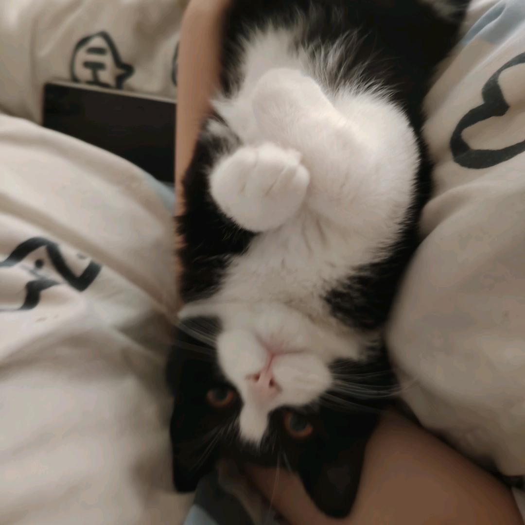 王小遇.（小法师版）