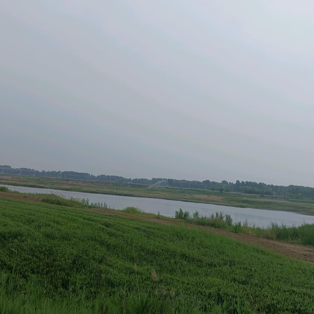 惠三农抢号技巧