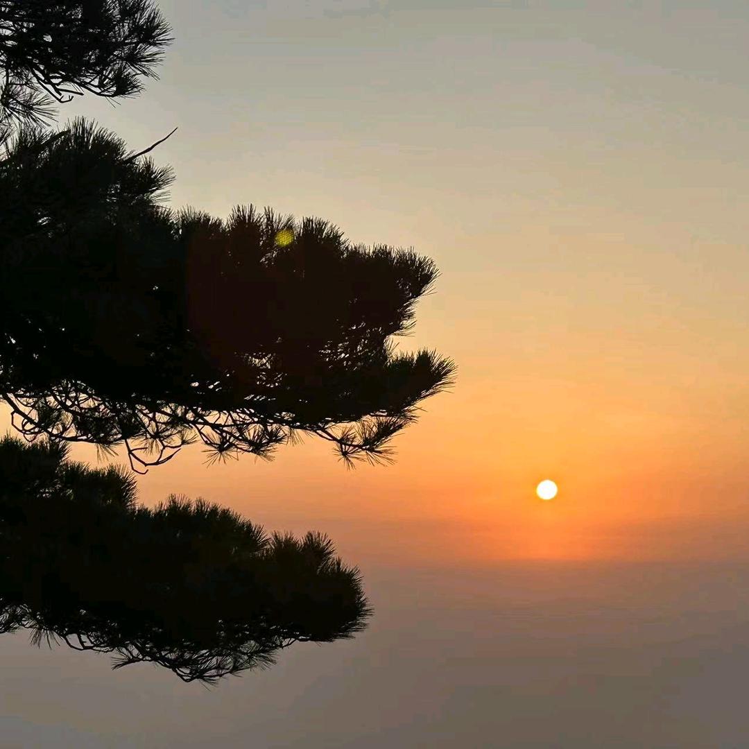 🌞