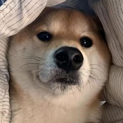 1664