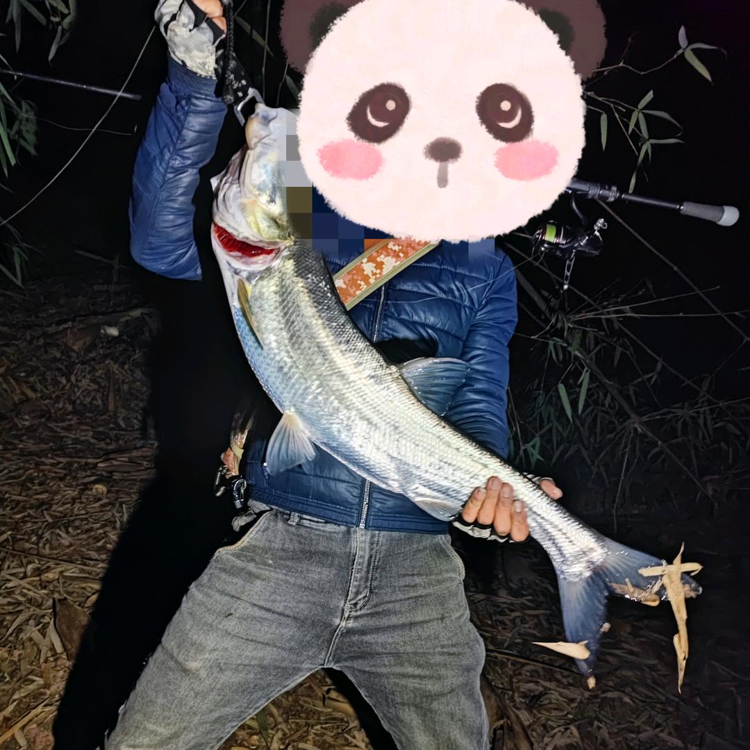 小邹 ′lure