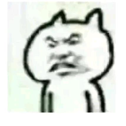 樱桃小丸犊子