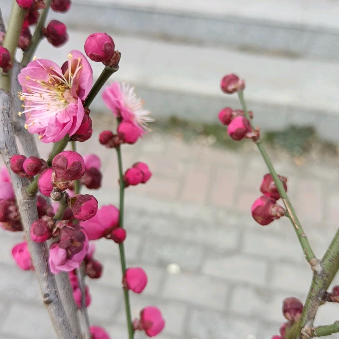童年
