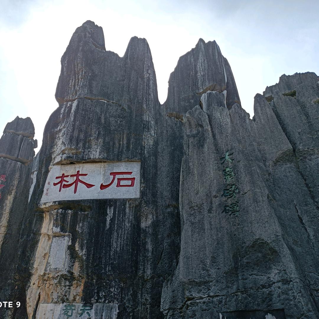 张大仙