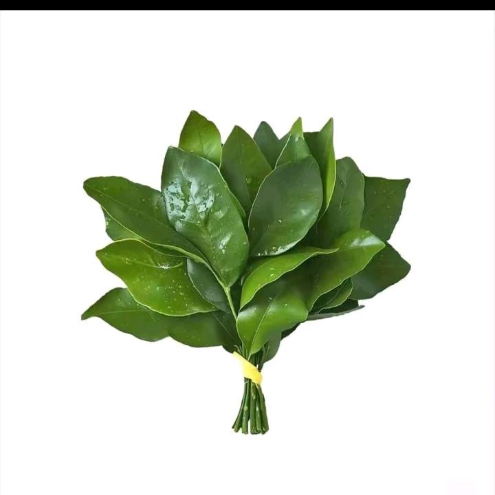 小婷婷婷婷婷婷婷。