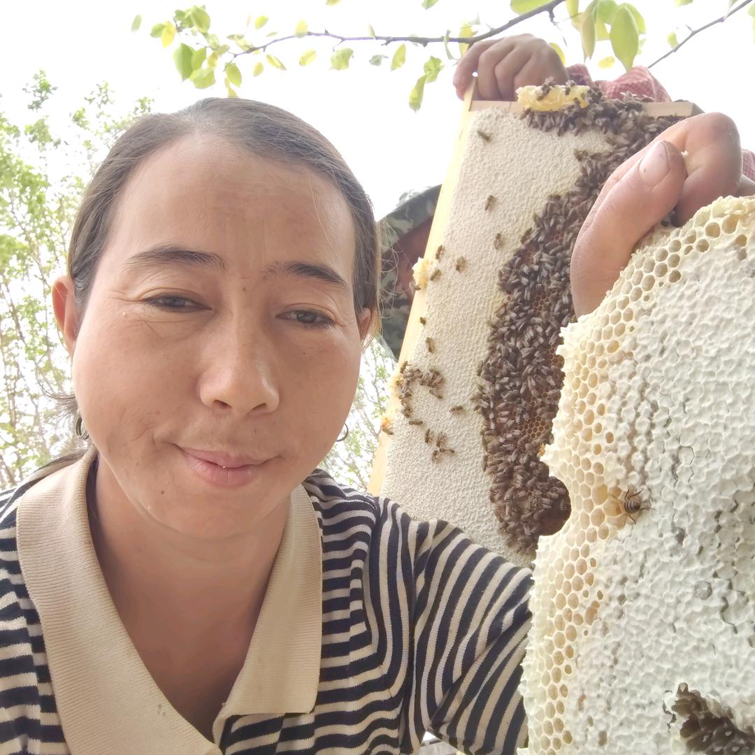 🐝gulnisam 🐝