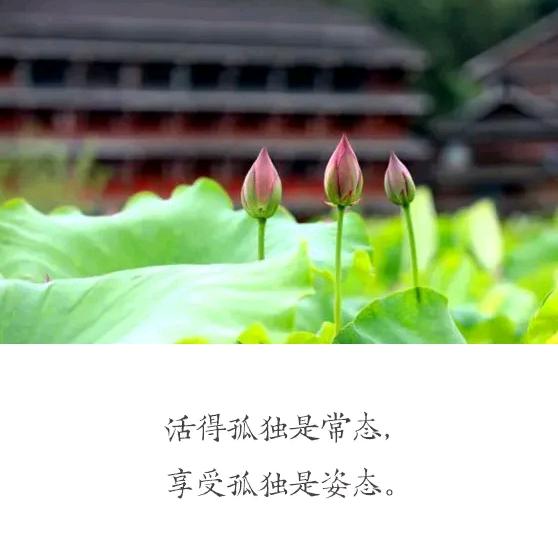鲜果南靖小铺