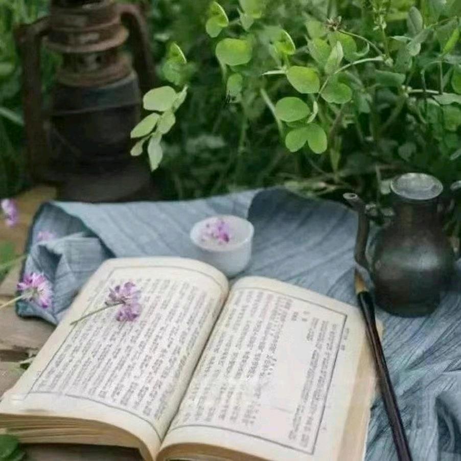 荆登午
