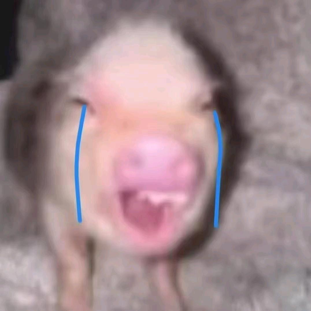 总以为x