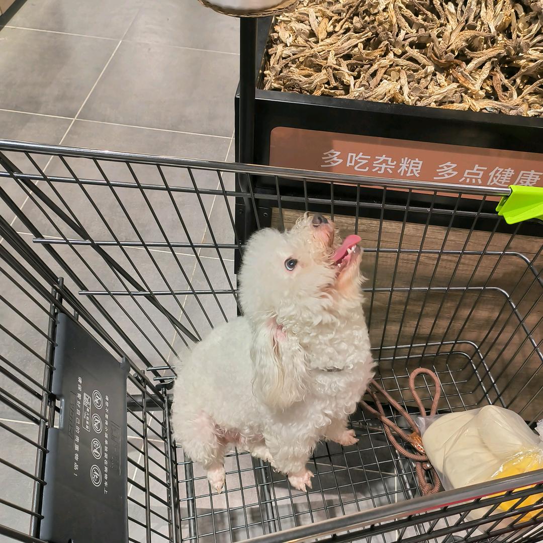 小夭