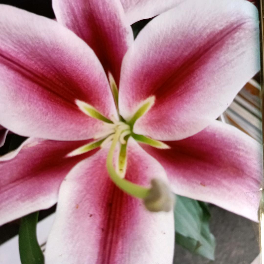 山里人家珍品山货