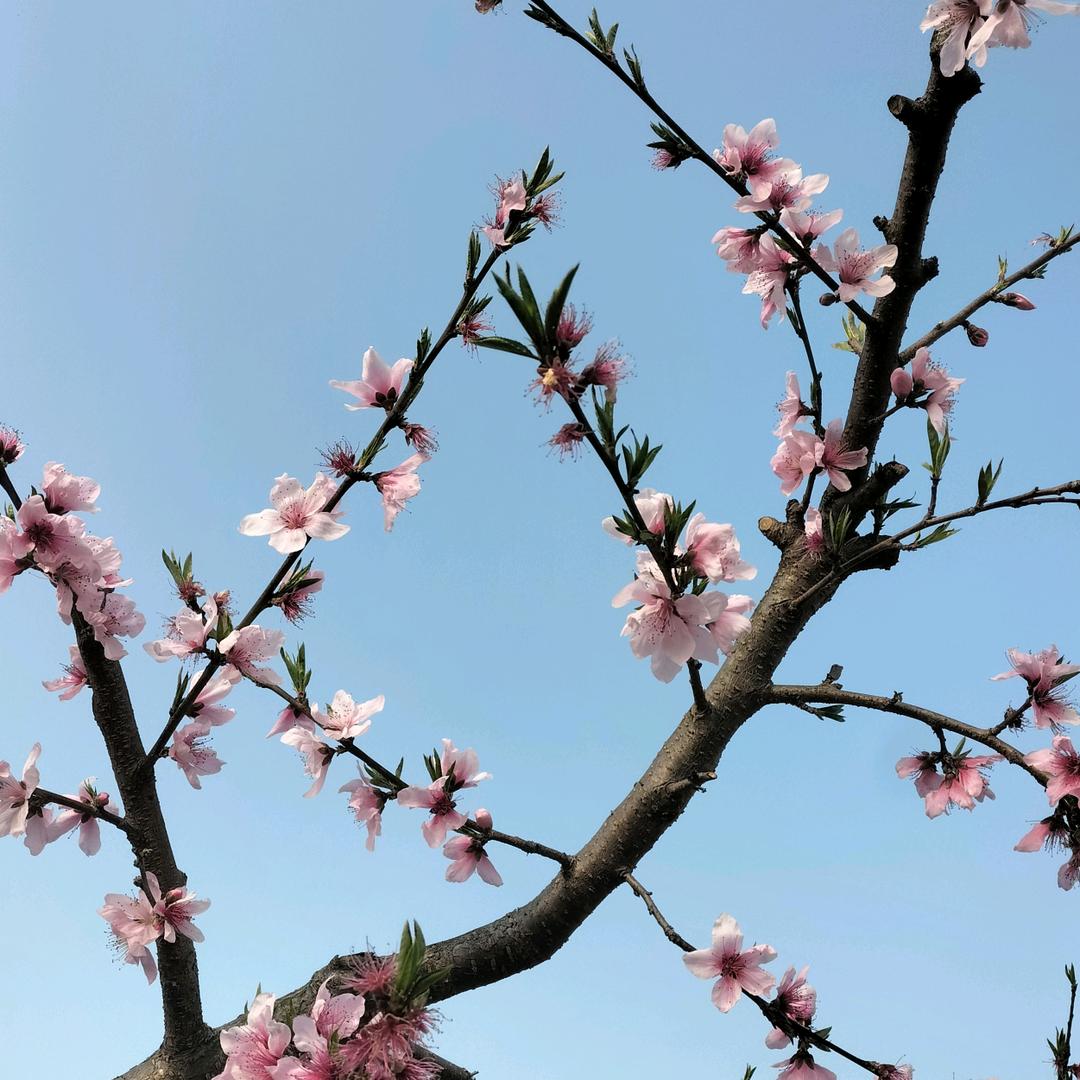 沁沁