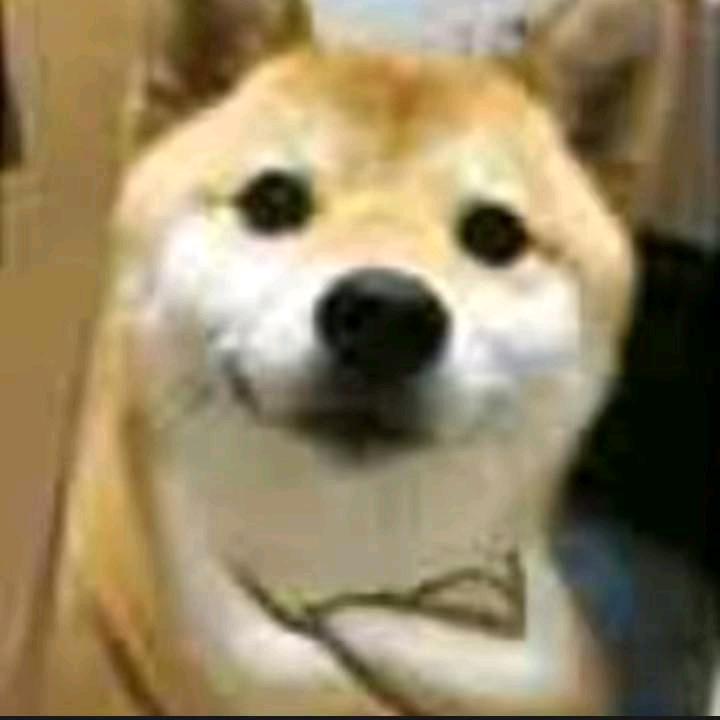duduou