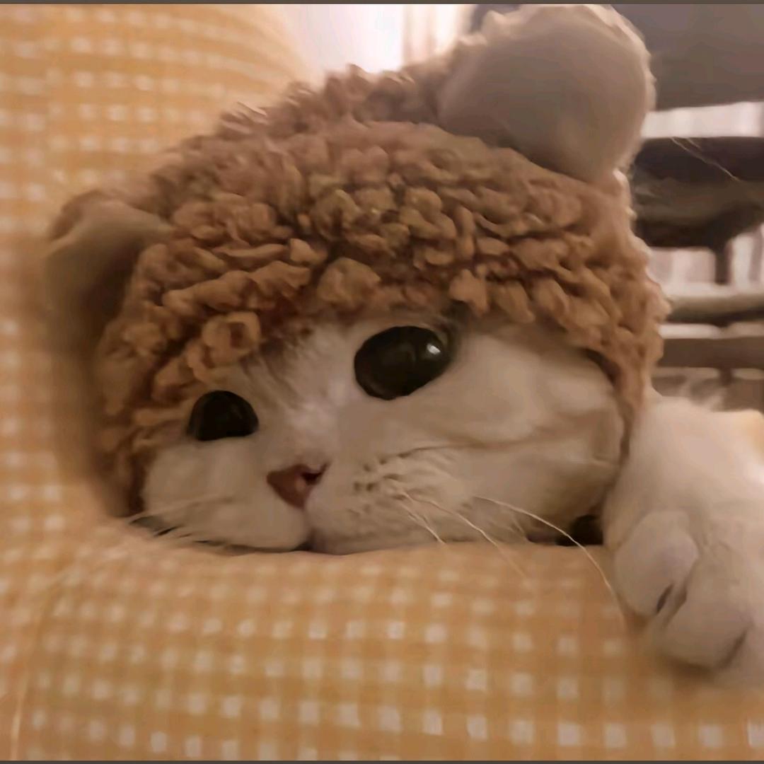 哈哈