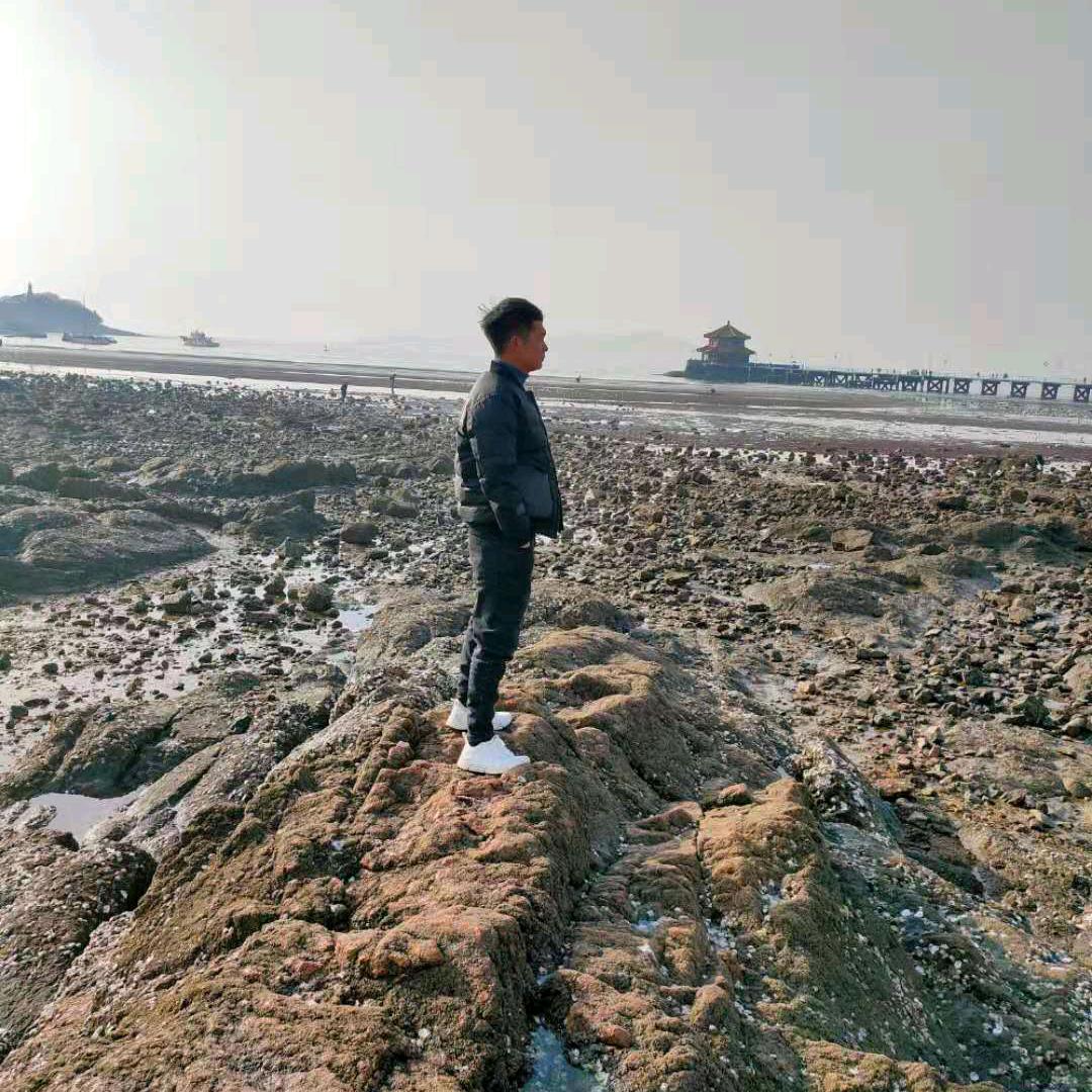 啄木鸟