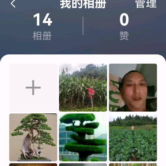 永远快快乐乐健健康康.
