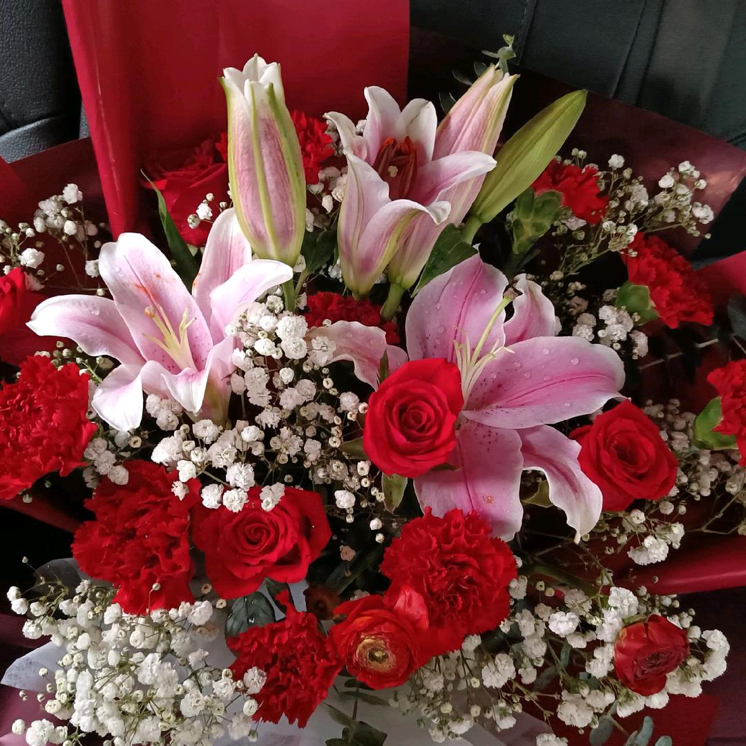 🍓未来只有你🍈