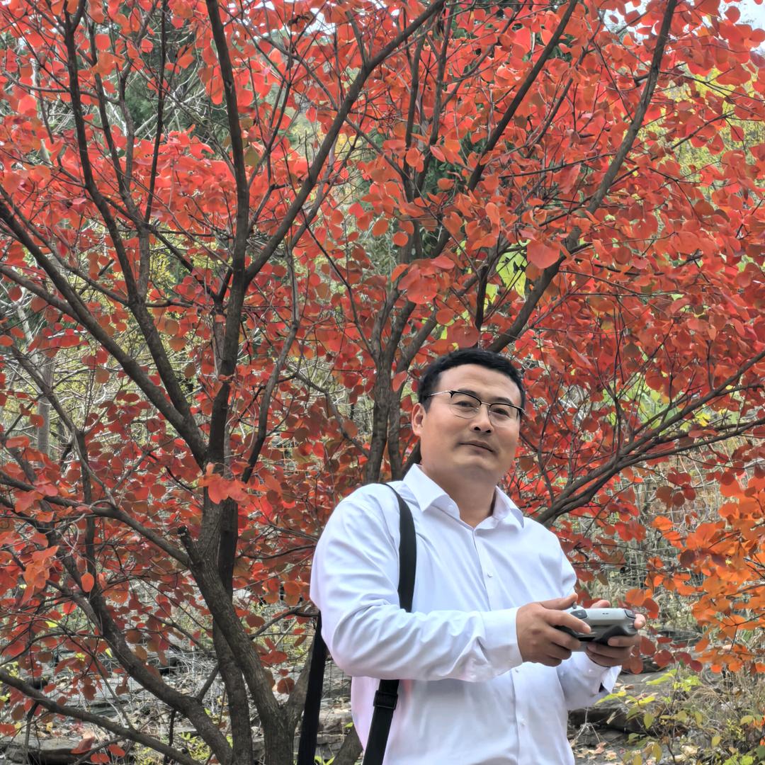南山散人逍遥游