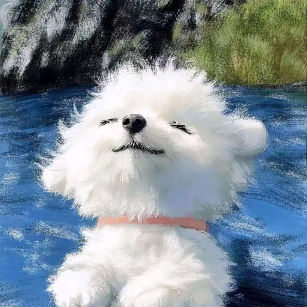 我是花花