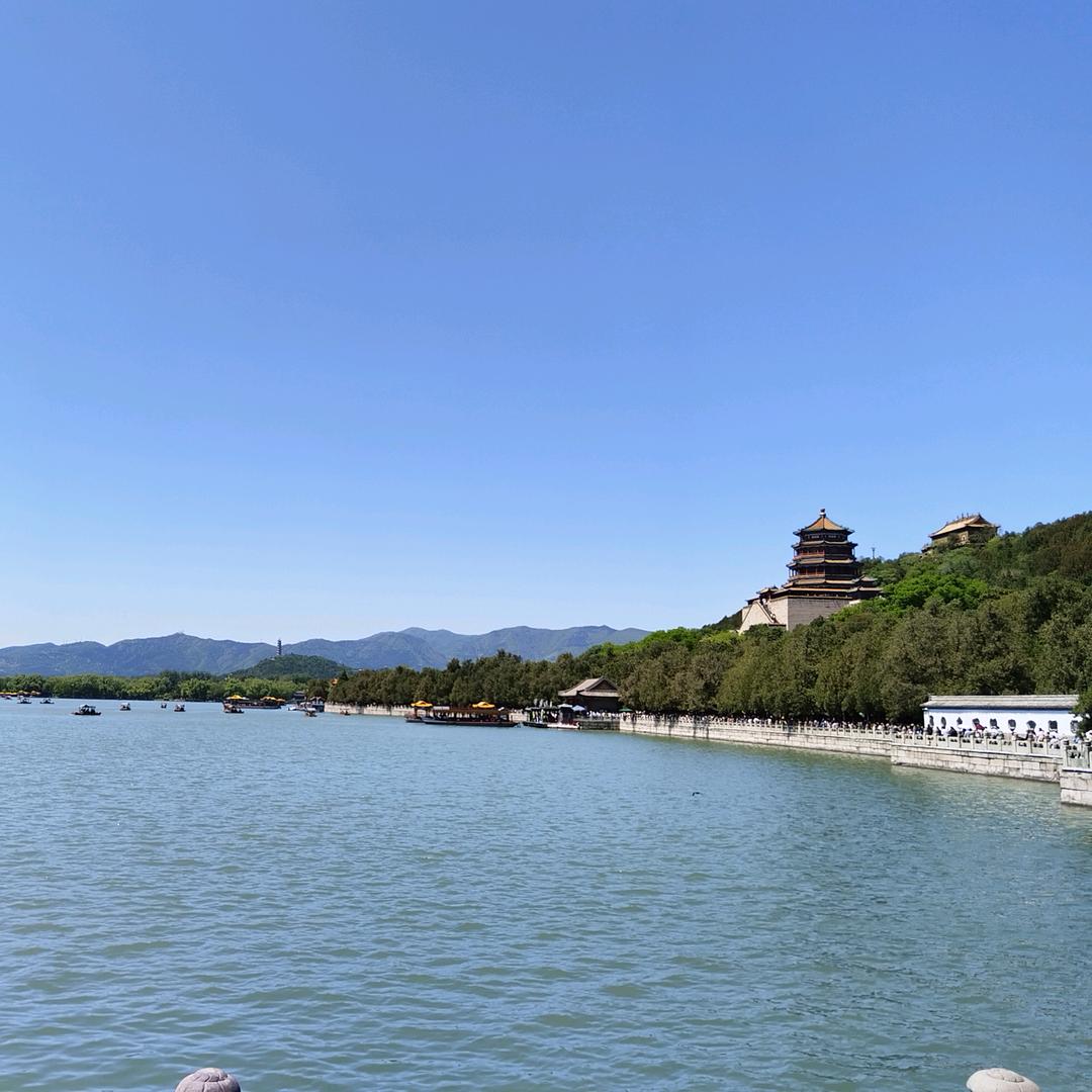 萝卜头