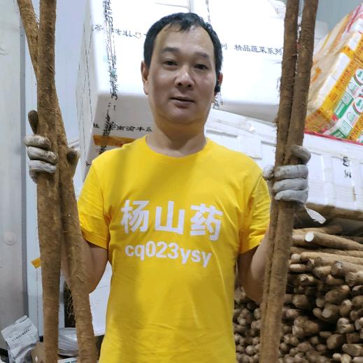 杨山药