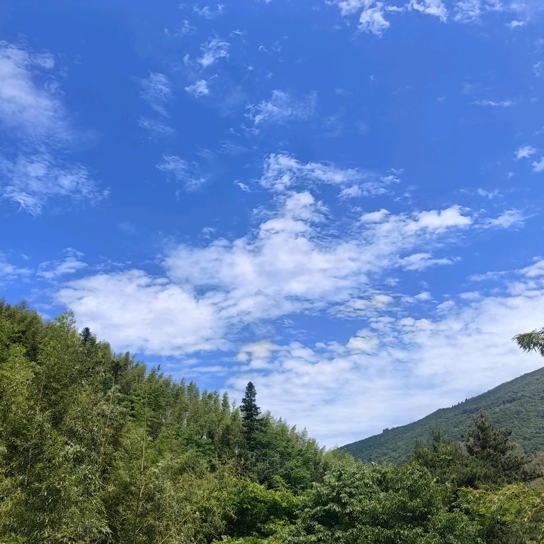 爱喝的老李