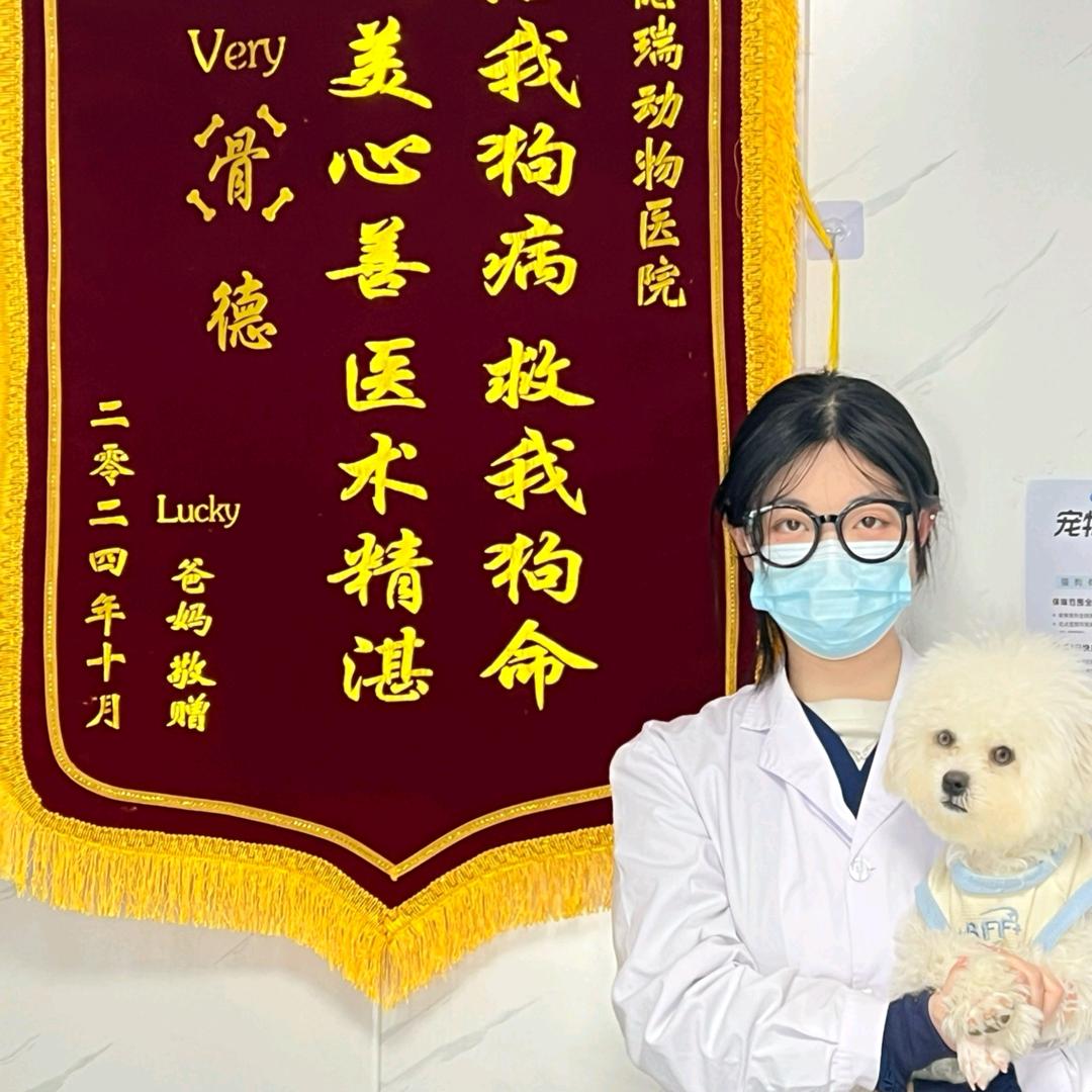 宠物医生小陈