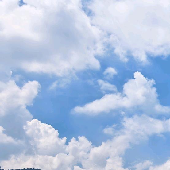 愿岁并谢 与长友兮