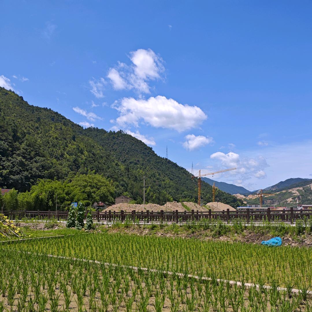 喜樂🌻