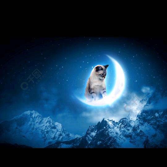 月亮🌙上的猫