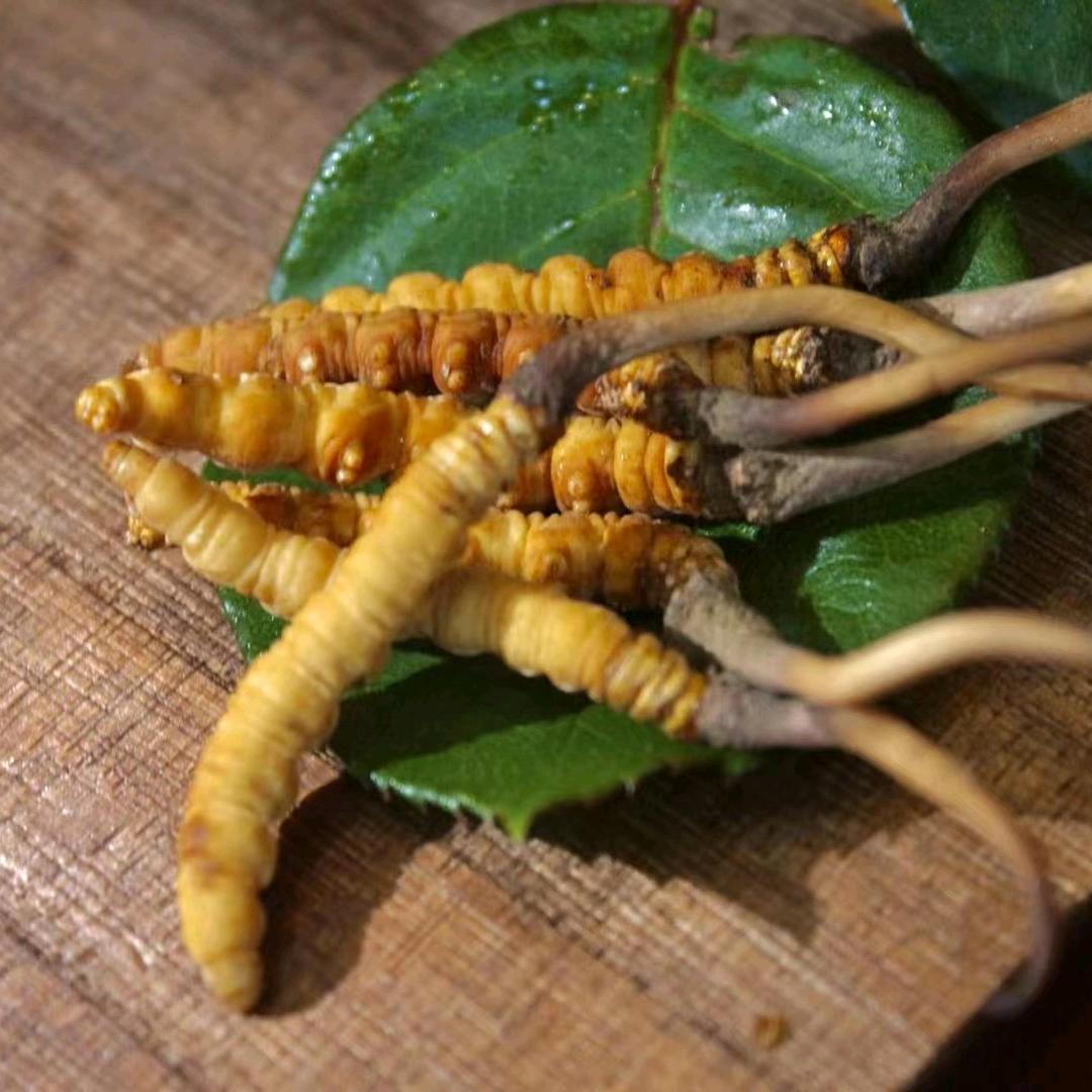 中药饮片
