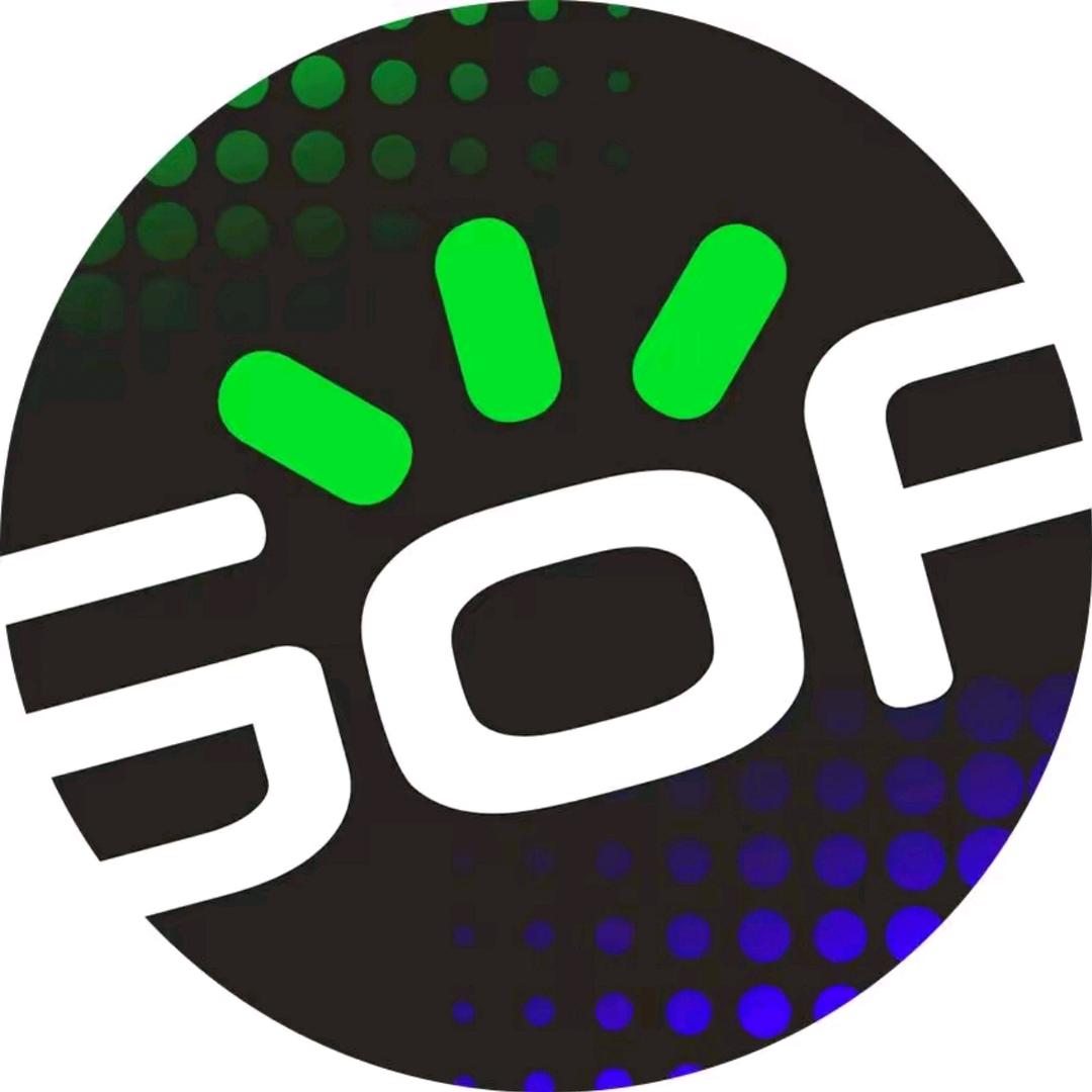 Gofun共享汽车|皖南选址官