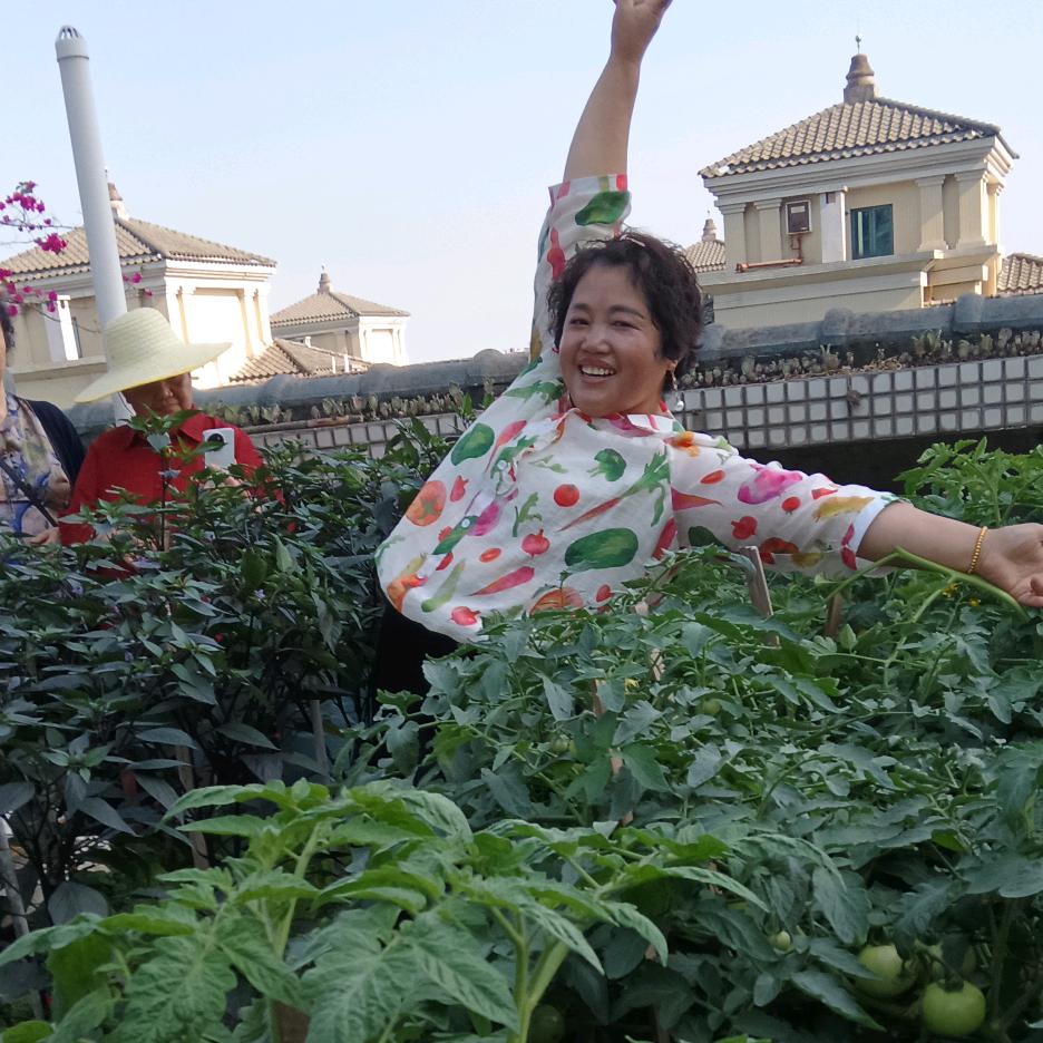 冲动的惩罚