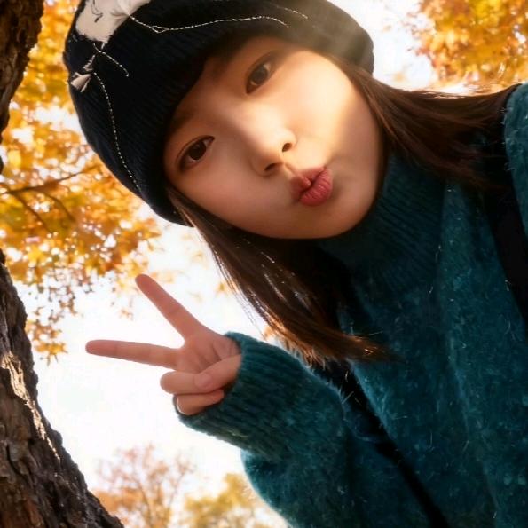 木木在说