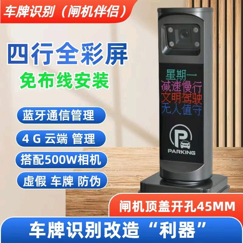 金颉