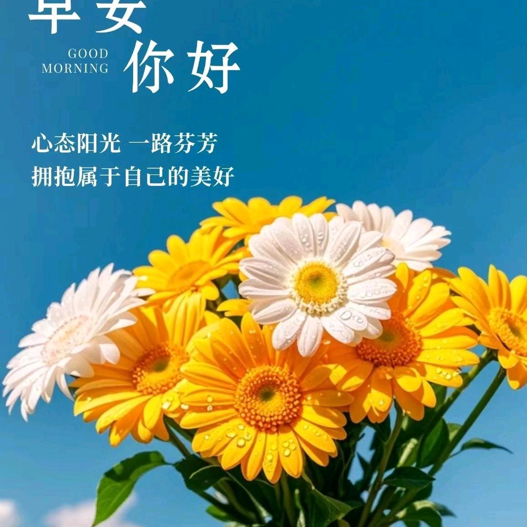 自由飞翔