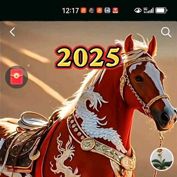 马到成功发发发。