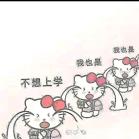 小黄鱼