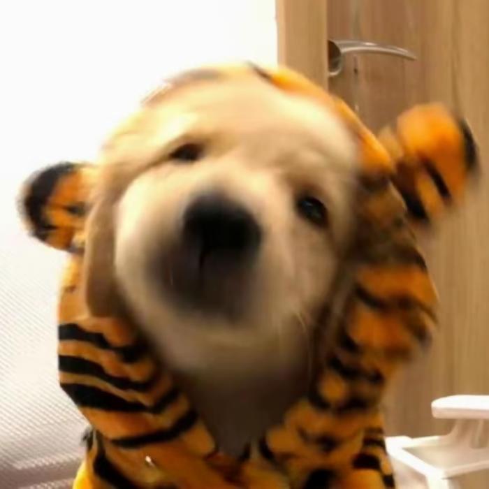 ๑҉.