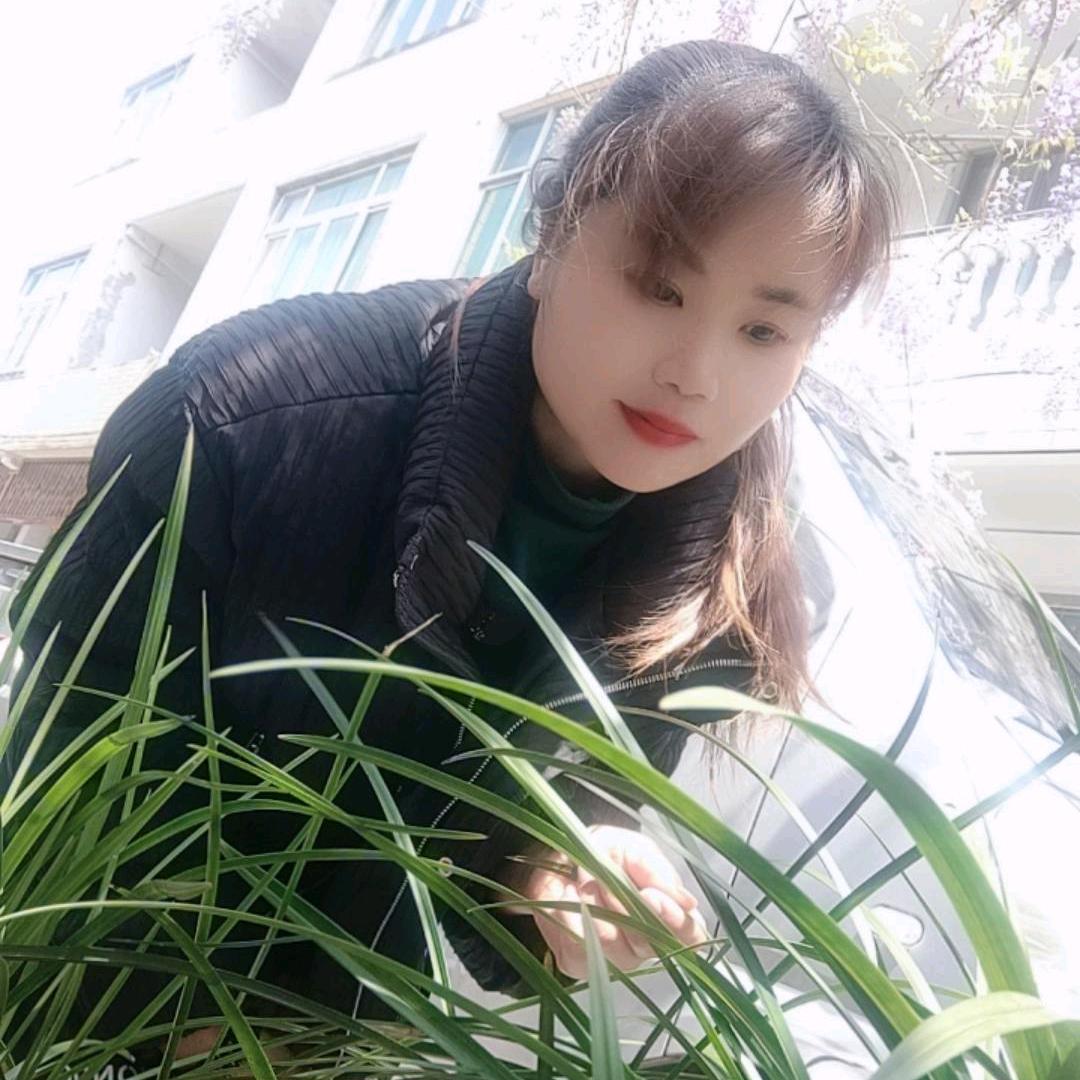 玲୧⍤⃝🍗随🥳风🎊飘🍉