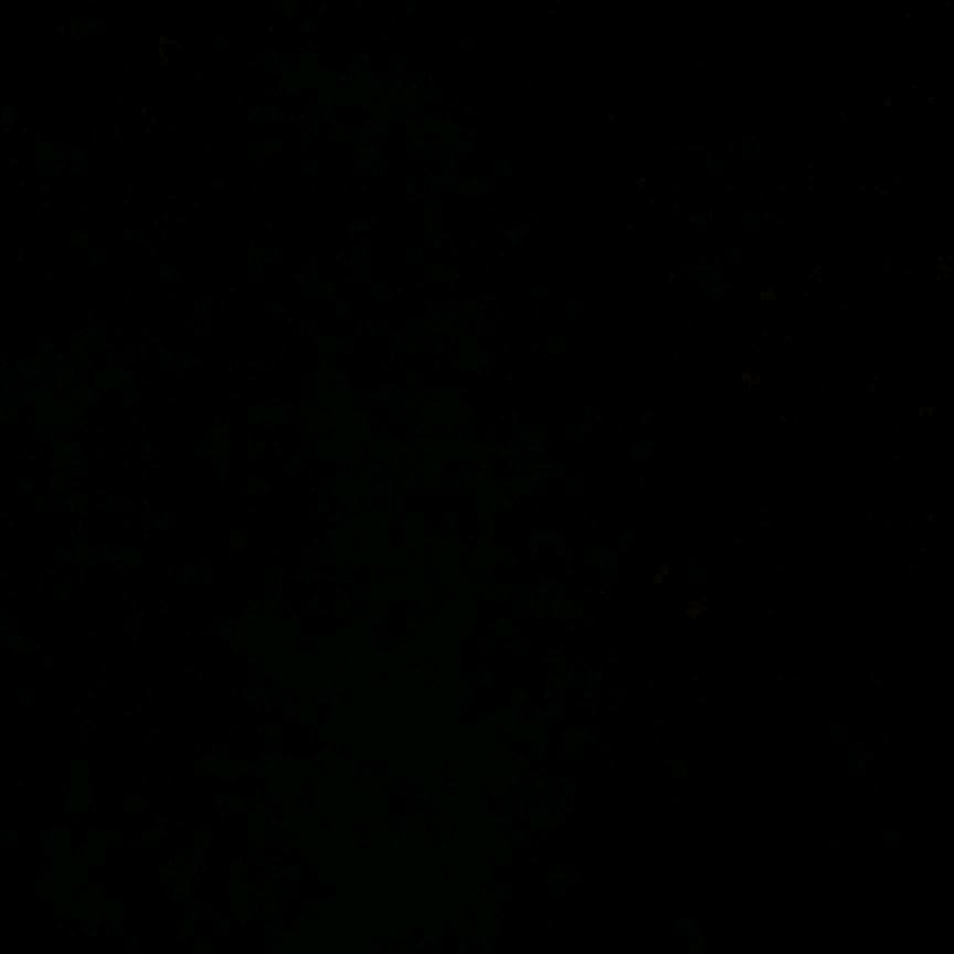 23082097