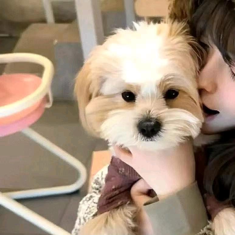 h（爱老婆健身版）