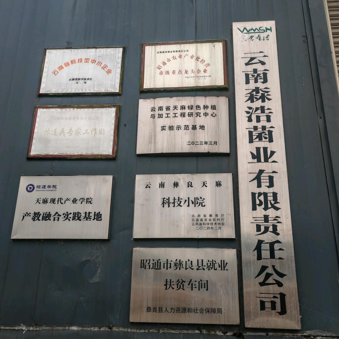 乌蒙森浩菌业李锭