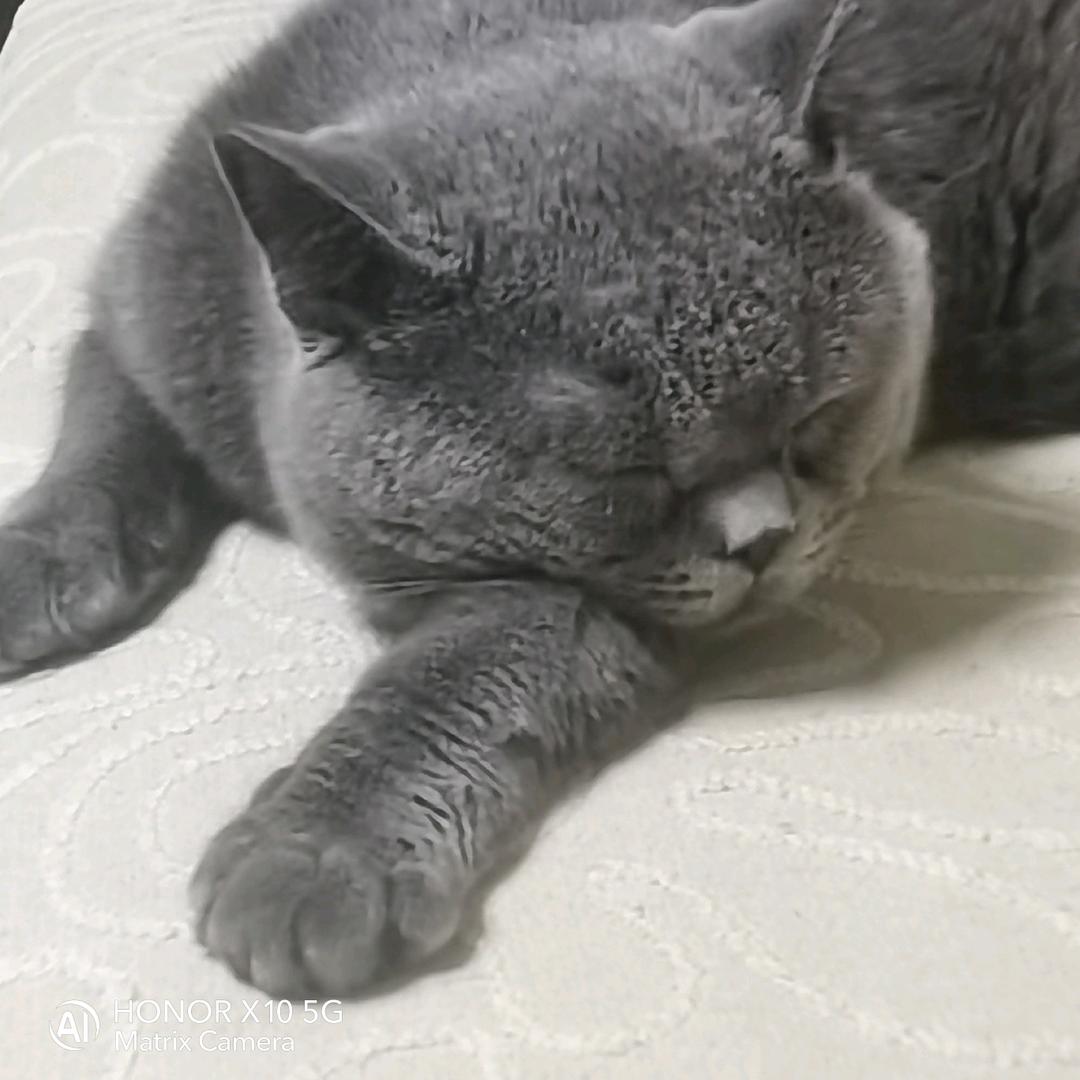 走水钓