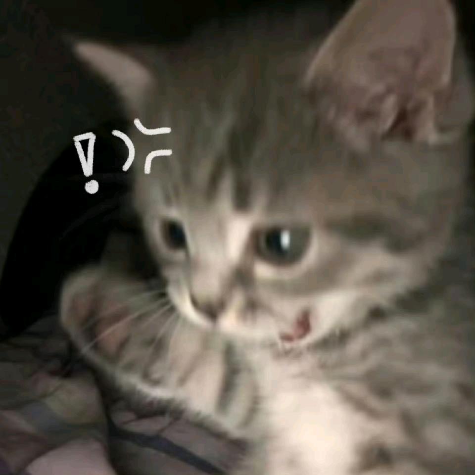 Moo_maee^'