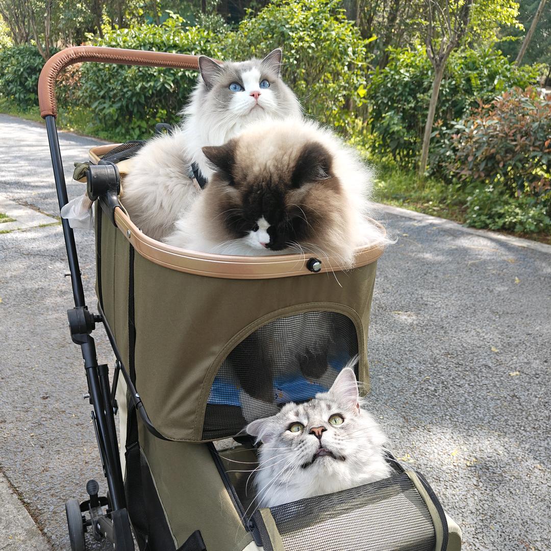 手扶卡拉恰🚲璐斯基